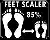 * Feet Scaler 85 %