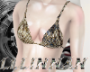 LLLBRA V3