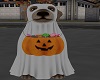 Ghost Halloween Dog Dec