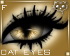 Gold Eyes F1a Ⓚ