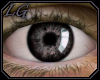 [LG] Eyes Spyder