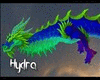 Hydra Dragon M/F