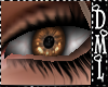 [DML] Brown Eyes