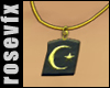 Gold Turkiye Necklace