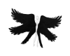 Noir Wings