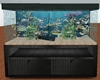 black fish tank