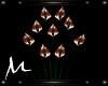 *M* *URBAN* Lilies