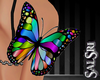 Rainbow Arm Butterfly