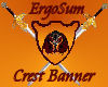 ErgoSum COA Banner