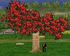 Red Flowers Tree Swing