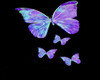 Butterfly  Anim