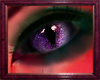 Purple Felin Eyes (M)