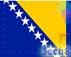 Bosnia Flag Animated