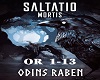 Saltatio M. Odins Raben