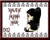 {SCC}Raven Alana Hair