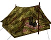 Treasure's Survival Tent