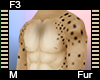 F3 Cat Fur M