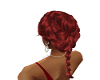 LS Red Countryside Braid