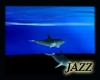 Jazzie-Animated dolphine