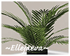 Lux Fern Plant w Stand