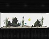 Fish Tank Divider