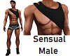 Sensual Male Shirt