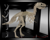 [Y] Dinosaur Skeleton