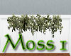 ~Moss 1~