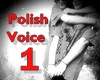 mall | Polish Voice 1
