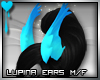 D~Lupina Ears: Blue