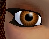 Brown Eyes (Version 2)