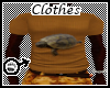 Tck_Brown Turtle Tshirt