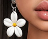 !B Aloha Hawaii Ear. DRV
