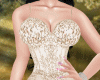 Cream Gown PNY-462