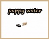 cSc Puppy water