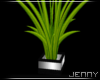 *J Black Denim Plant