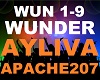 Ayliva Apache 207 Wunder