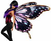 Big Butterfly Wings 40