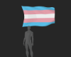 ☢ Pride Transgender