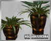 [BGD]Plant Set I