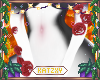 ꨄSparta Roses 23ꨄ