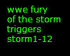 wwe fury of the storm