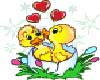 Duck Love