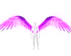 Cybernetics Purple Wings