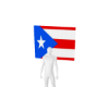 Flag Puerto rico