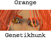 Orange Eyebrows Male