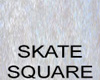 ice skating square