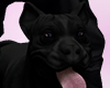 .BLACK PIT.GLOCK(M)