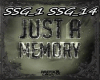 Just A Memory (Raw)