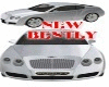 BENTLY SILVER